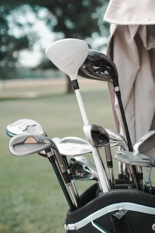 Golf clubs in a golf bag