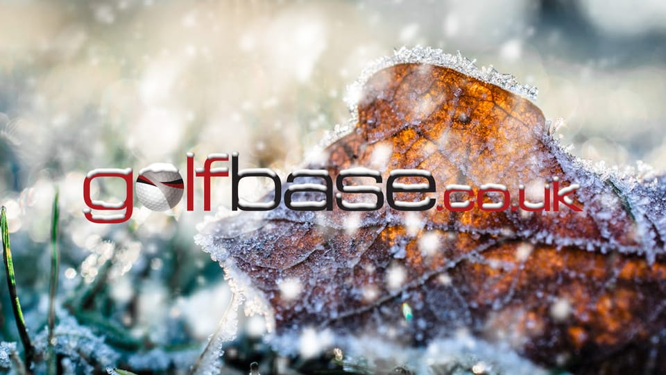 A frosty brown leaf with the Golfbase logo in front.